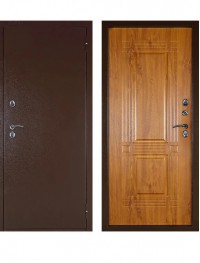 Дверь Аргус Тепло-31